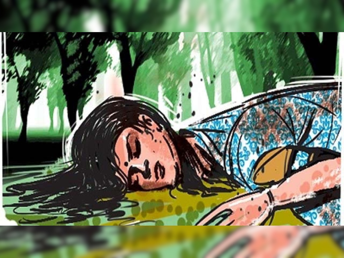 Karnataka: Man murders homeless woman with cement block in Hassan, returns to rape dead body
