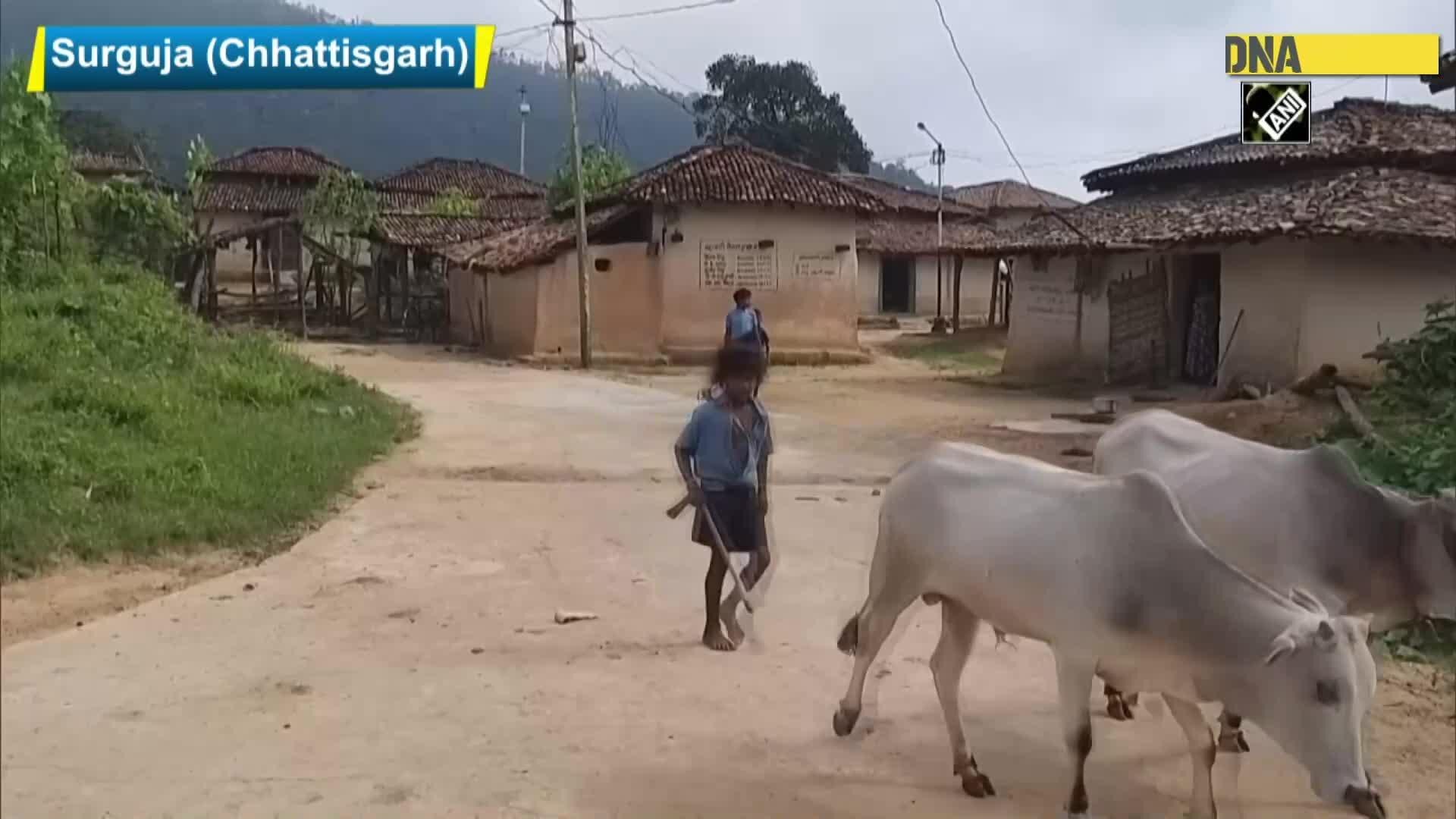 Chhattisgarh villagers lay down pipelines network, connecting water source to resolve water crisis - DNA India