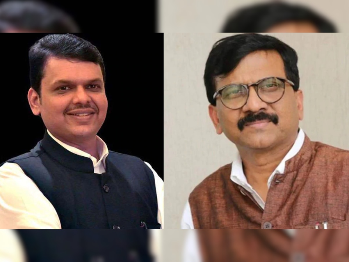 Mumbai: Sanjay Raut meets Devendra Fadnavis privately at luxury hotel, here's what BJP said about secret interview