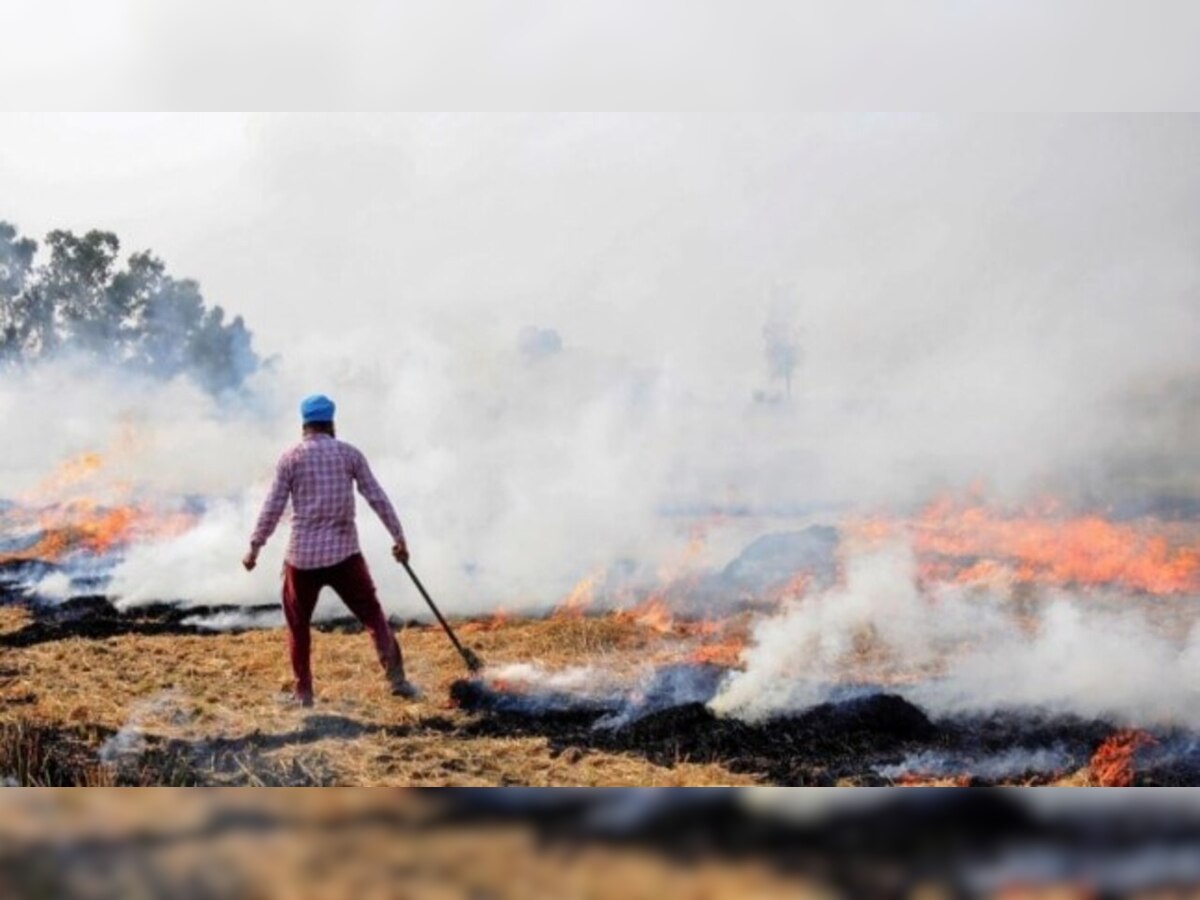 Air pollution control on government's top priority, preparations on in Delhi-NCR hotspots before winter