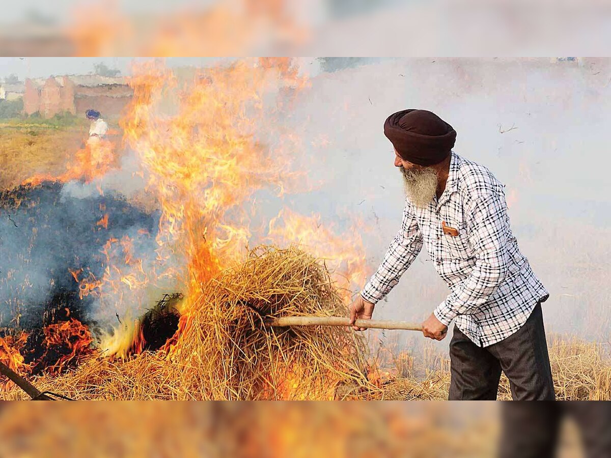 SC appoints retired judge to monitor stubble burning in Punjab, Haryana, UP