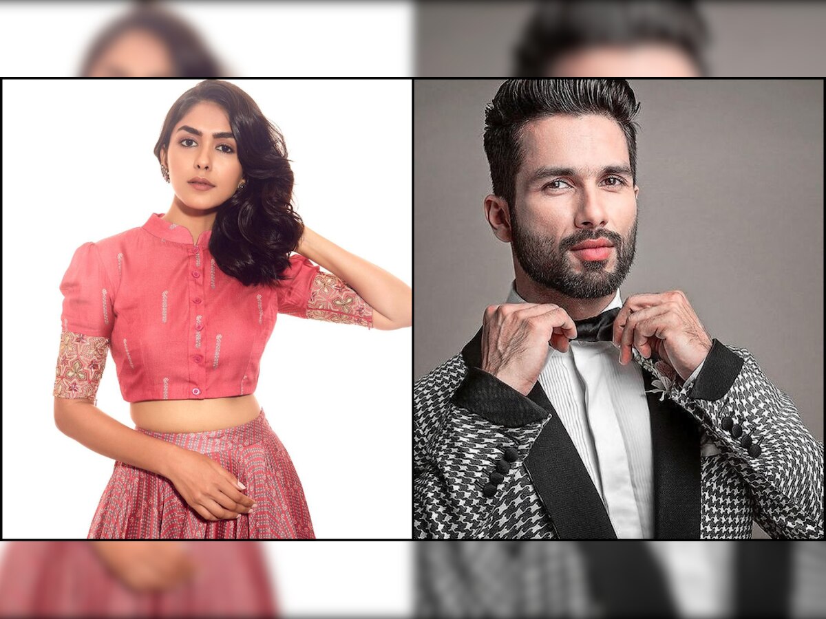 DNA Exclusive - 'Shahid Kapoor for me is like learning': Mrunal Thakur on 'Jersey' co-star