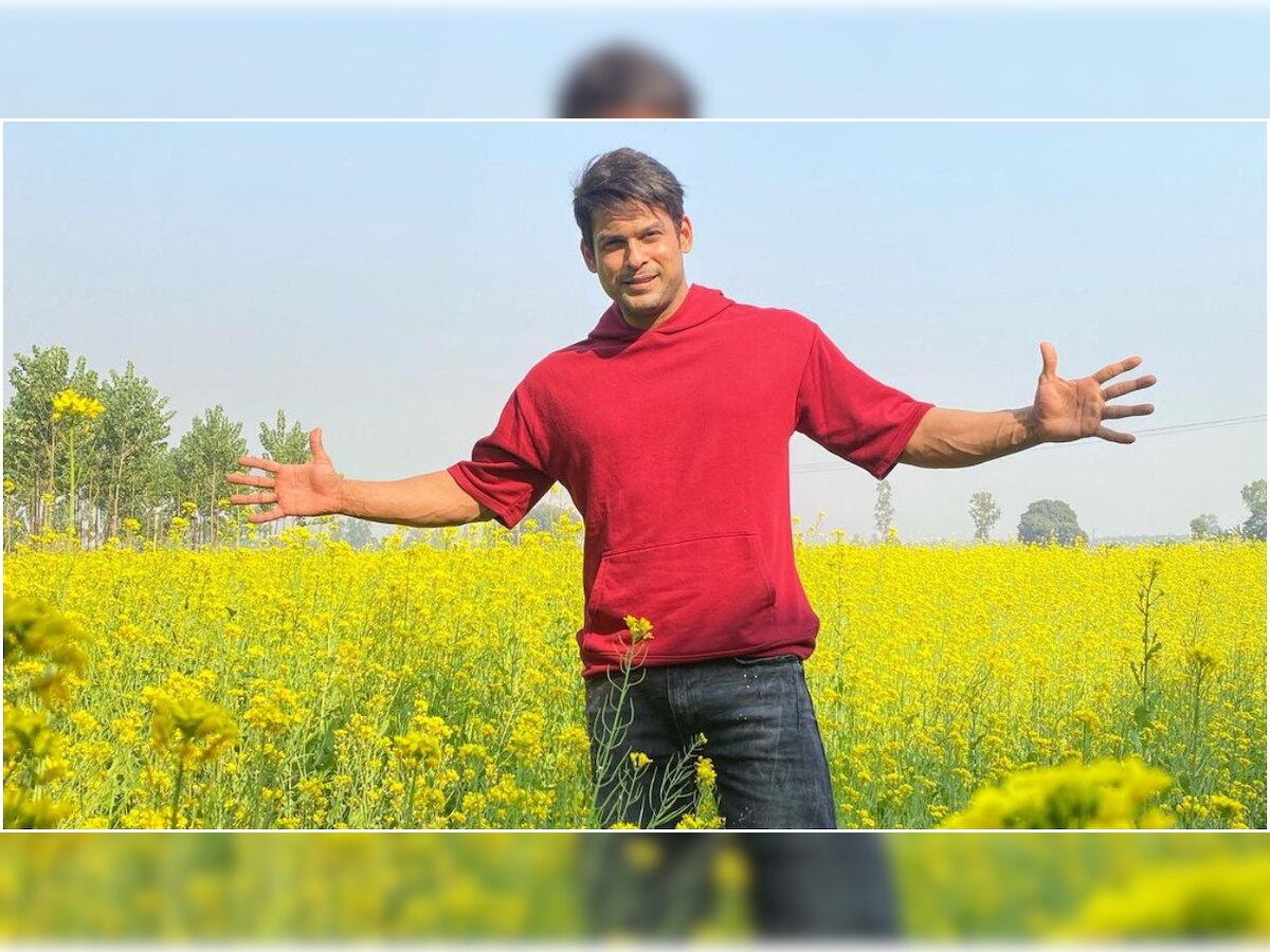 Sidharth Shukla channels his inner Shah Rukh Khan, attempts SRK's signature pose in Punjab 