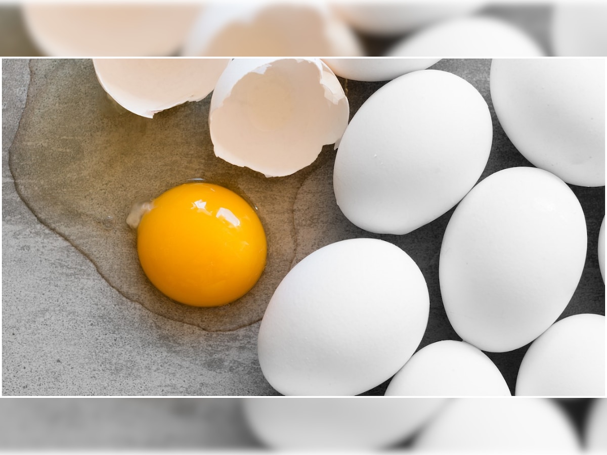 Eating excess eggs might increase the risk of Diabetes? Here's what experts say