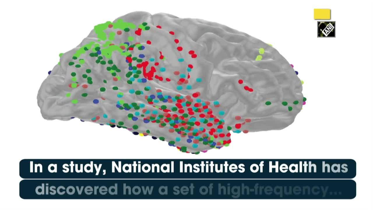 Researchers Reveal How Human Brains Know When Something's Different