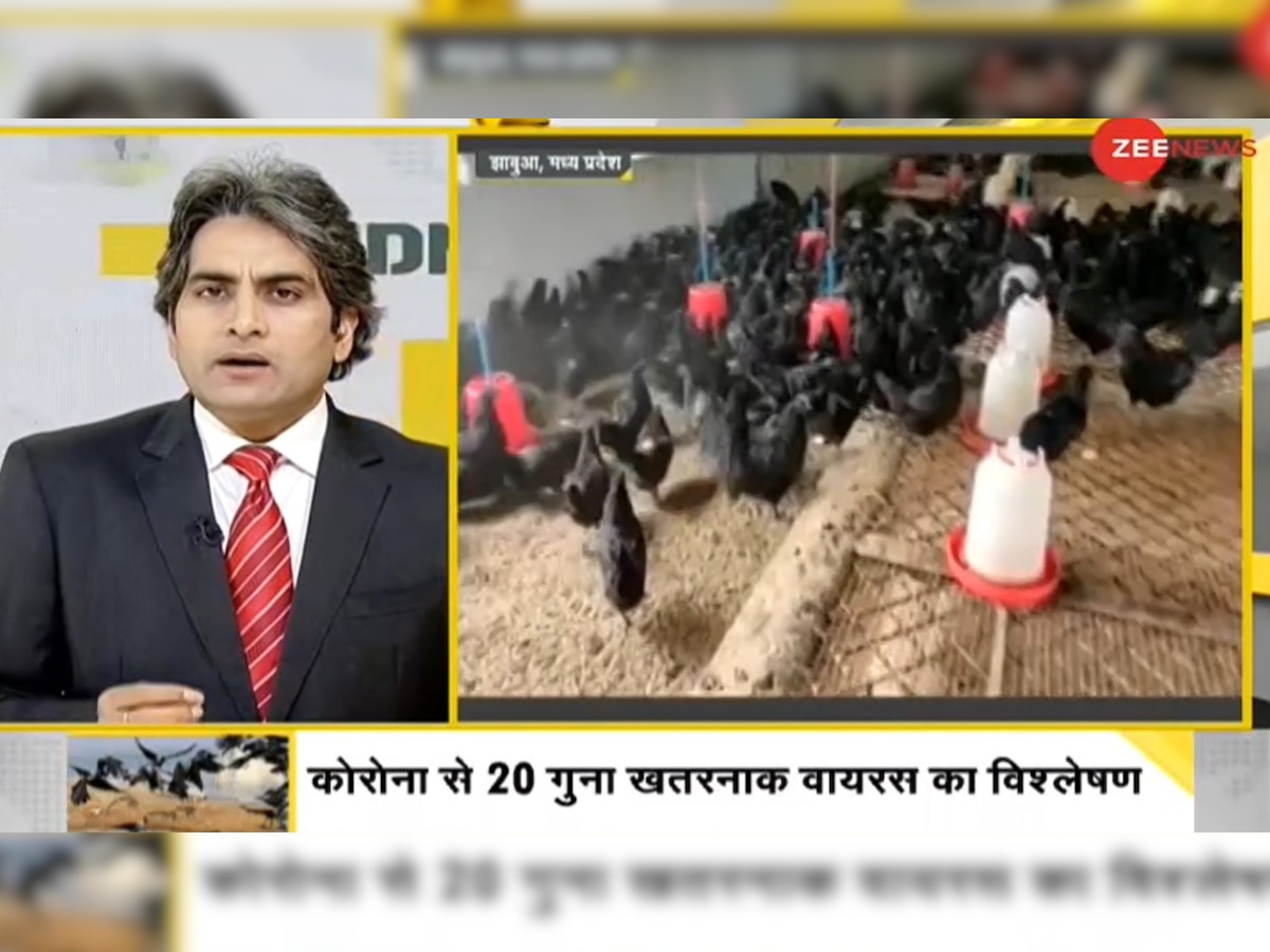 DNA Special: How Avian Flu is 20 times more dangerous than COVID-19