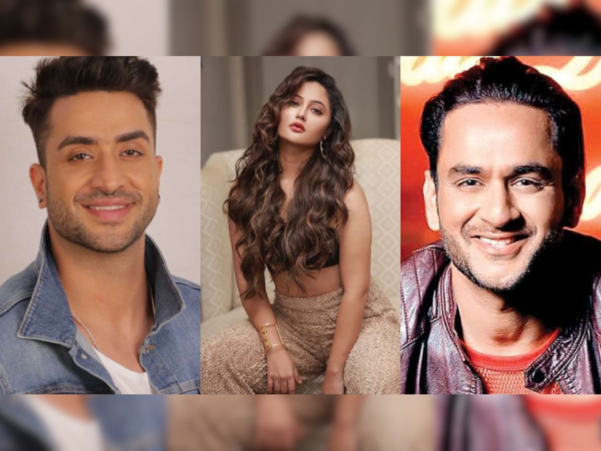 Rashami Desai slams Aly Goni for taking out personal grudges against Vikas Gupta on 'Bigg Boss 14'