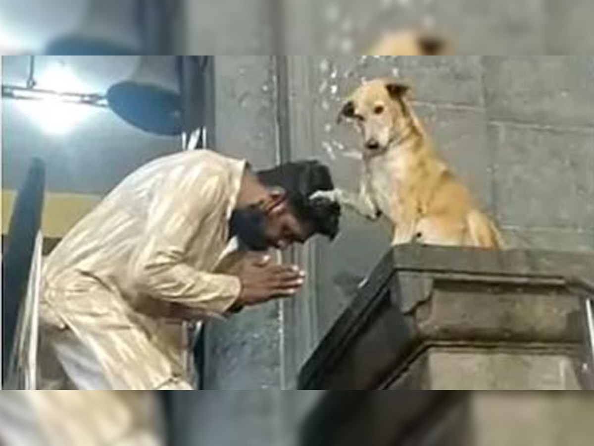 Viral ALERT: Dog blesses devotees and shakes hands outside temple - Watch