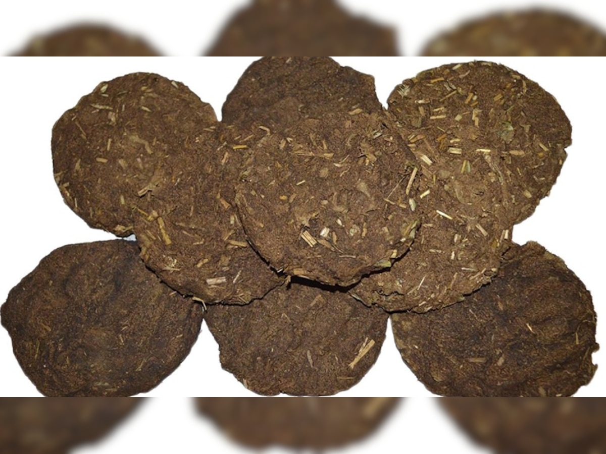 Viral: Customer reviews taste of cow dung cakes on ecommerce website