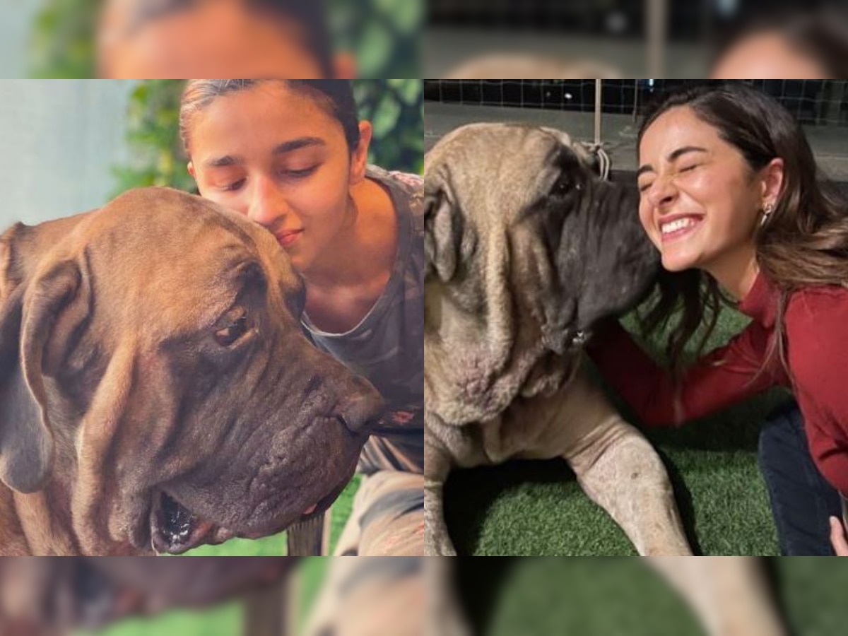 In Pic: Alia Bhatt captures THIS adorable photo of Ananya Panday playing with Ranbir Kapoor's furry pet 