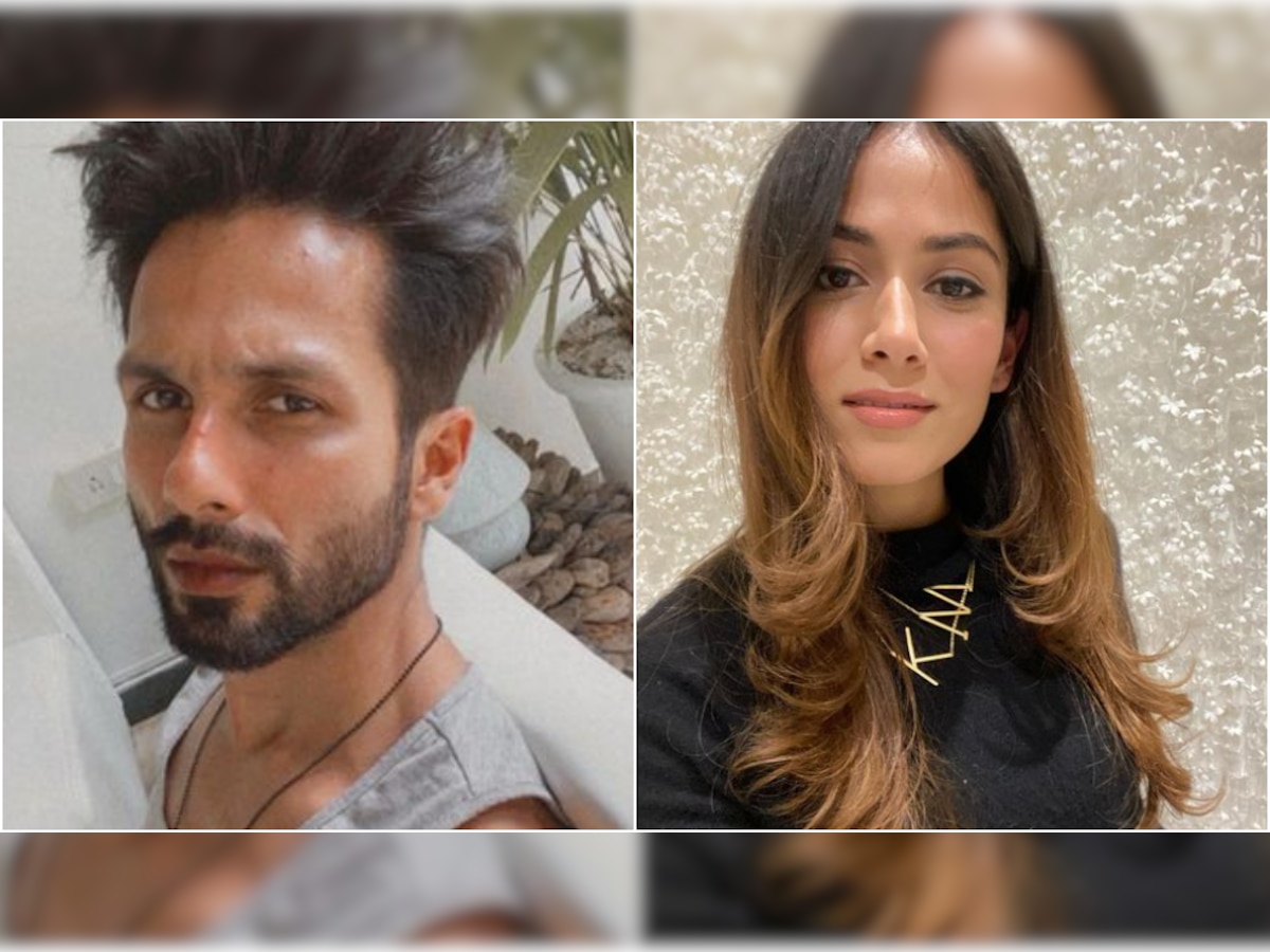 Mira Rajput's witty remark on Shahid Kapoor's latest photo deserves your attention