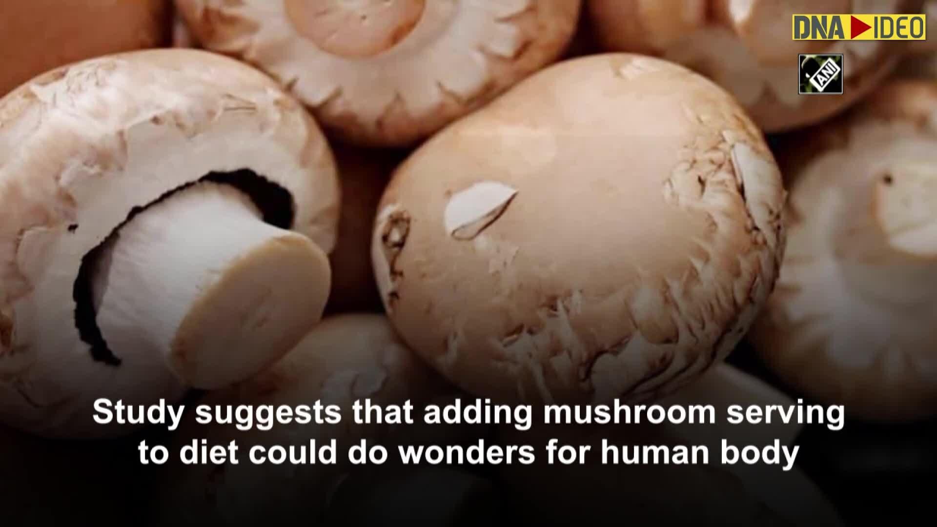 Here's how just a serving of mushrooms could make your meals more