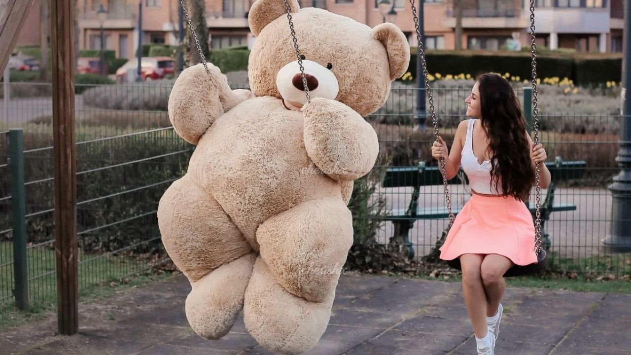 teddy bear in different colours