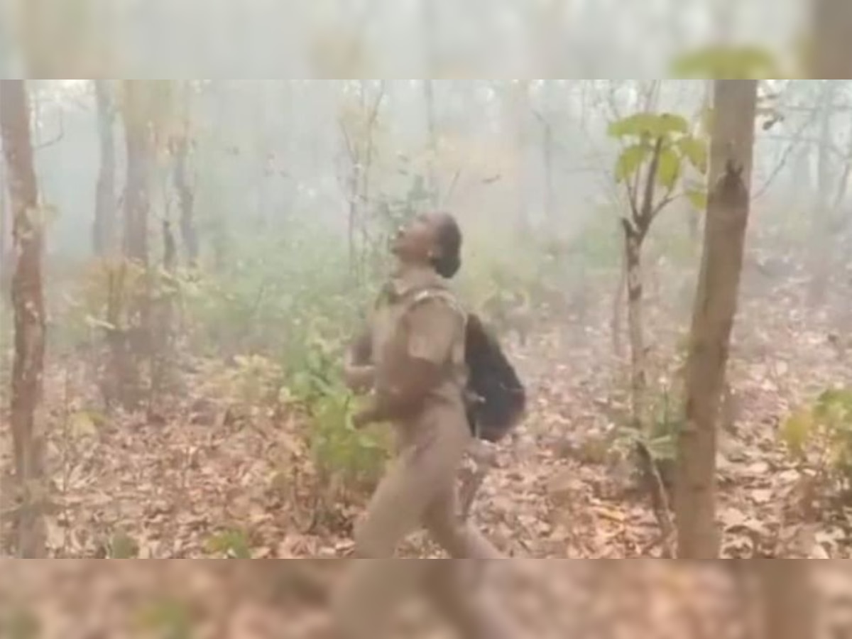 Viral video: Woman forest officer dances in joy as rain showers over Similipal dousing wildfires