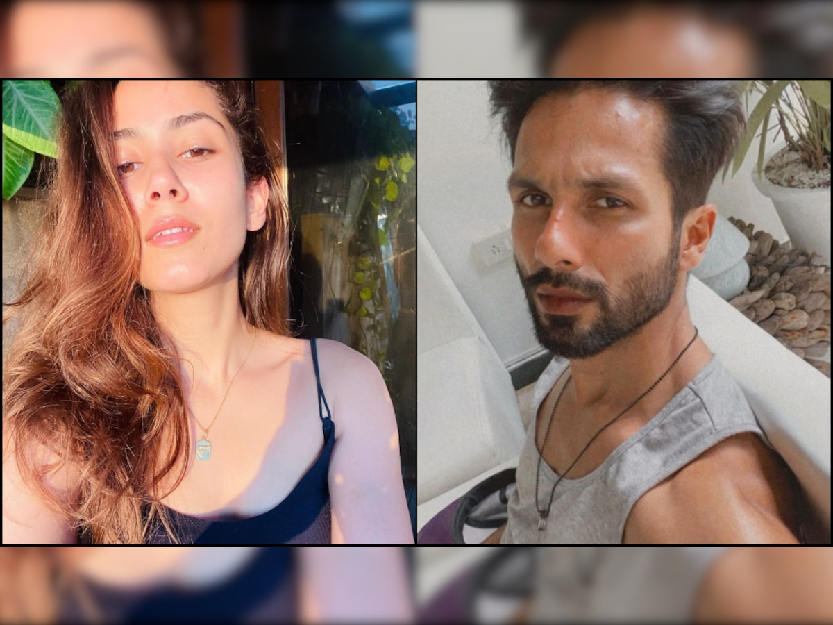 Mira Rajput's sunkissed selfie 'stuns' Shahid Kapoor