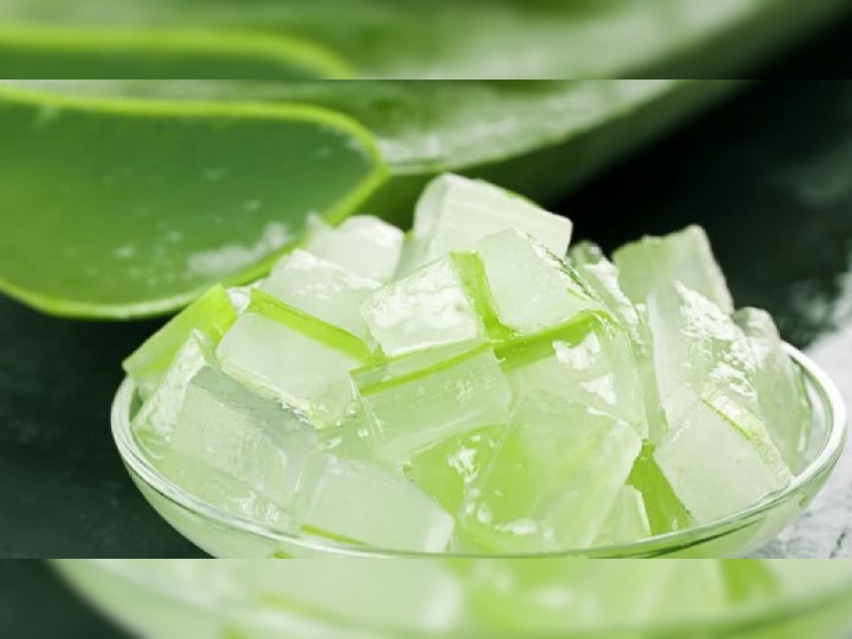 Aloe Vera: The ultimate ingredient for your hair and skincare