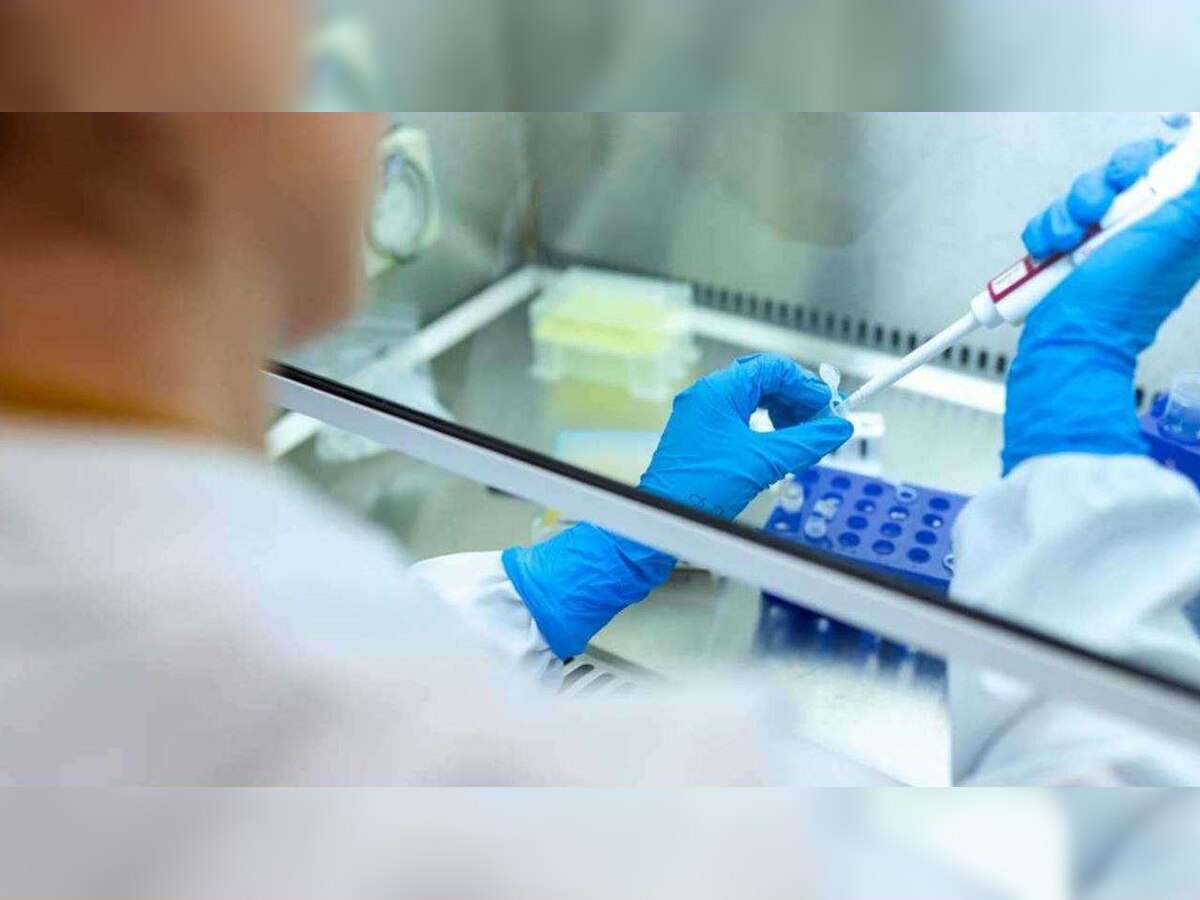 COVID-19: Gujarat makes RT-PCR test mandatory for those coming from other states