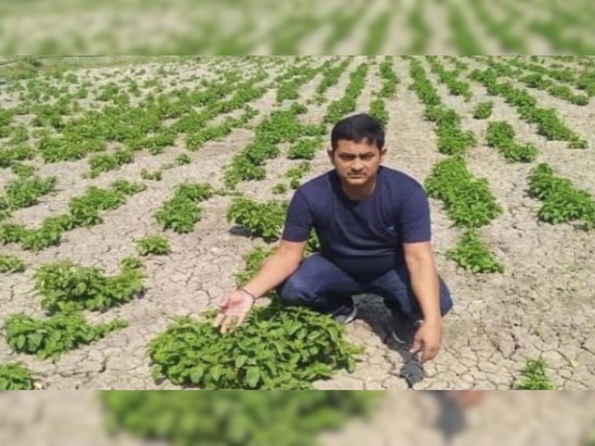 Farmer grows 'hop-shoots' that sell for Rs 1 lakh per kg, pics go viral