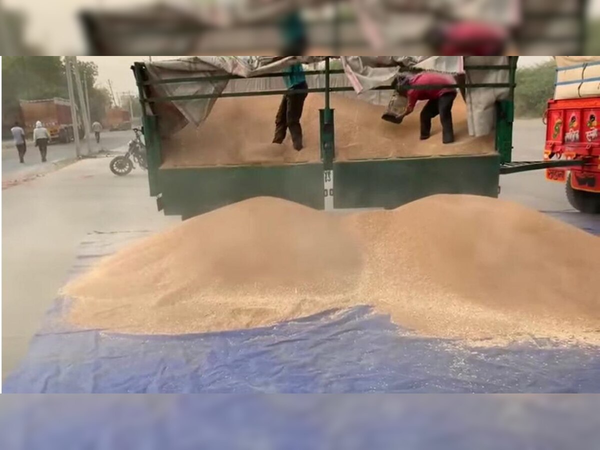 BJP stages protest for farmers, says AAP should buy wheat on 'promised rate'