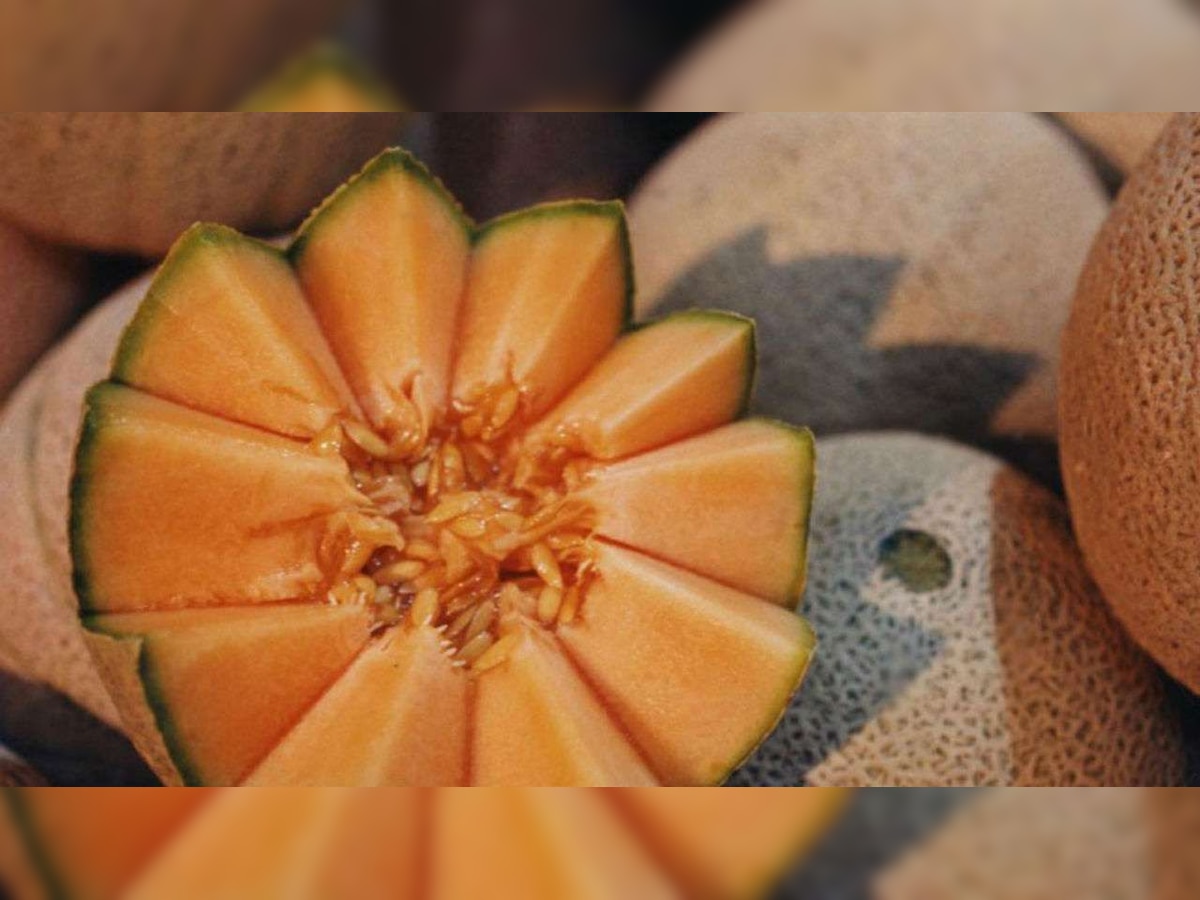Malaysian farmers attempt to grow prized Japanese muskmelons