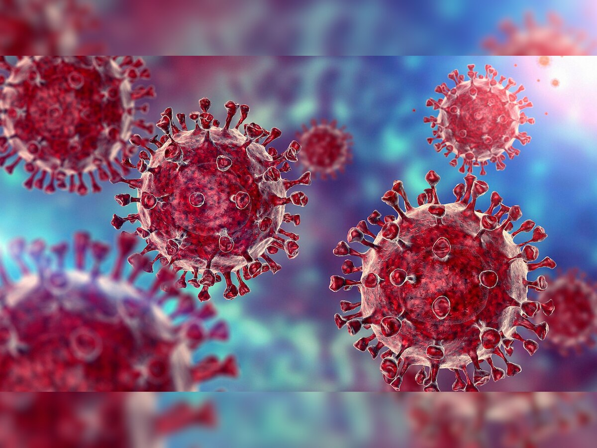 DNA Explainer: What are the types of COVID-19 variants found in India?