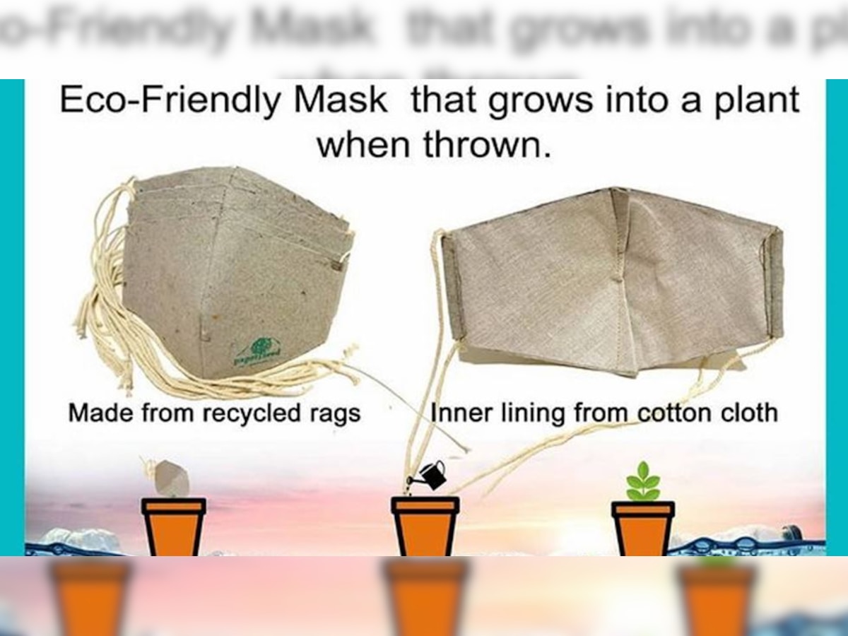 This Karnataka-based company is making eco-friendly masks that grow into plants