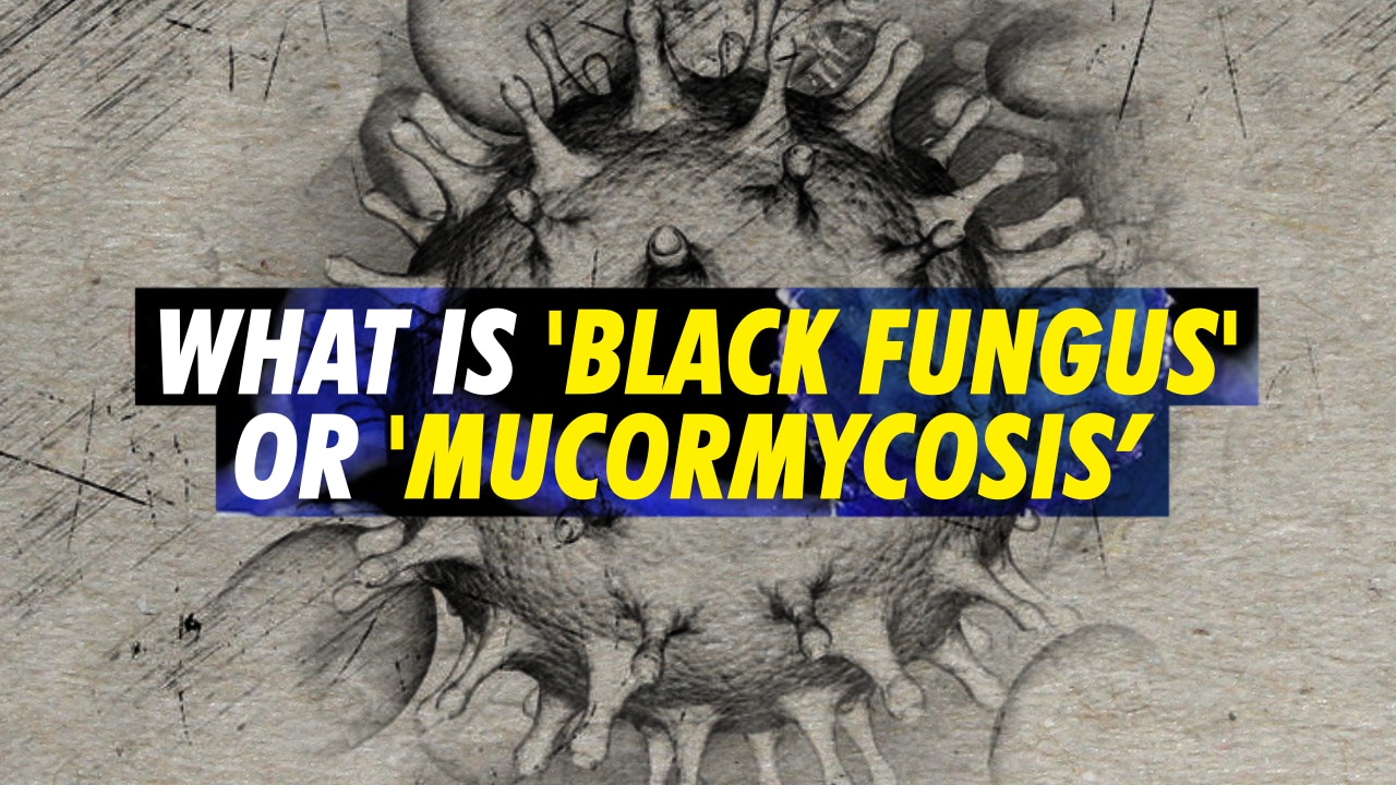 Deadly Black Fungus Or Mucormycosis On Rise In India Rare Fungal Infection Found In Covid 19 Patients