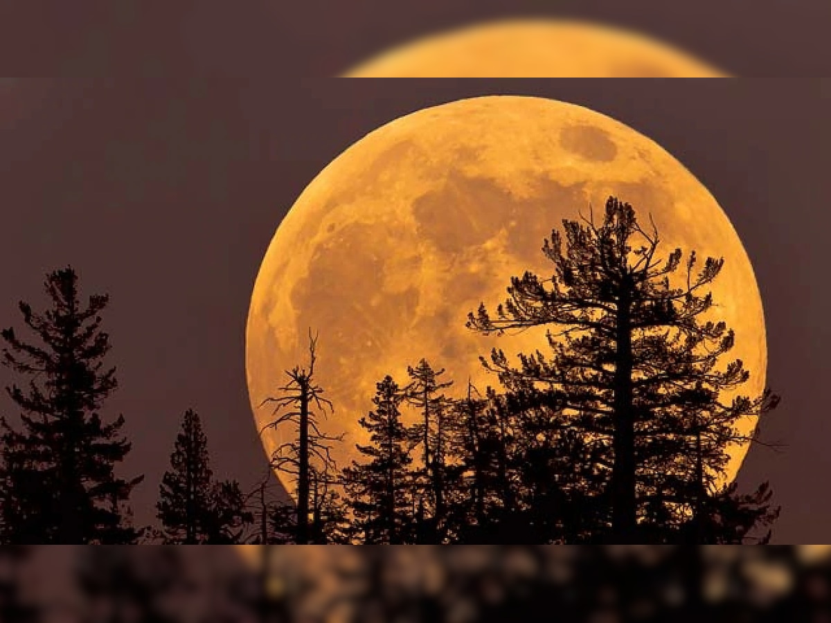 DNA Explainer: Difference between Supermoon, Blood Moon and total lunar eclipse