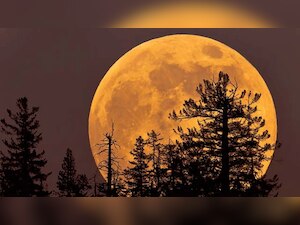 DNA Explainer: Difference between Supermoon, Blood Moon and total lunar eclipse