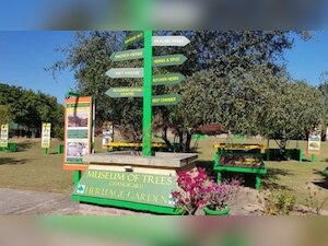 COVID-19: Chandigarh extends weekend curfew till May 31 - know the rules