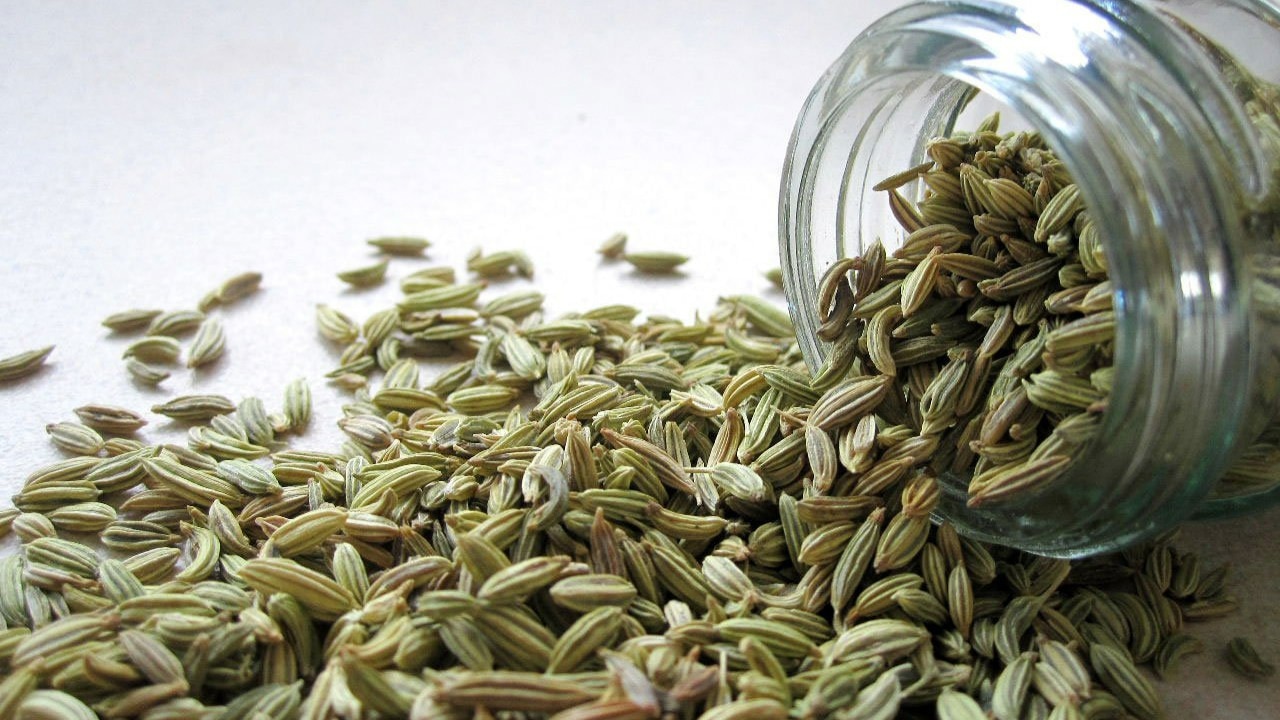 7 incredible health benefits of fennel seeds: From aiding in weight loss to help fight cancer