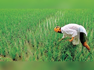 PM Kisan Yojana: Now, you can receive Rs 36000 in a year - Know how