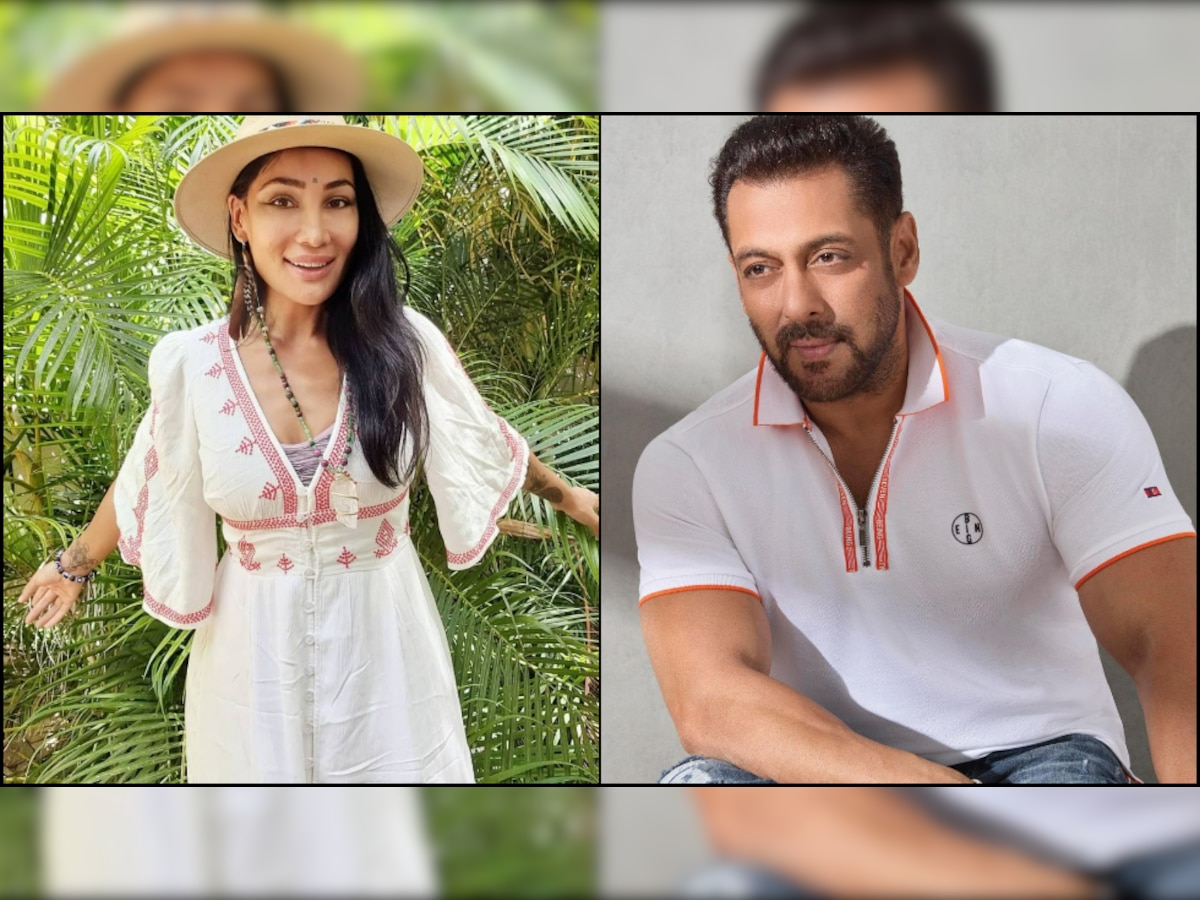 After slamming Salman Khan, Sofia Hayat gets abused by superstar's fans, ex 'Bigg Boss' contestant shares screenshots