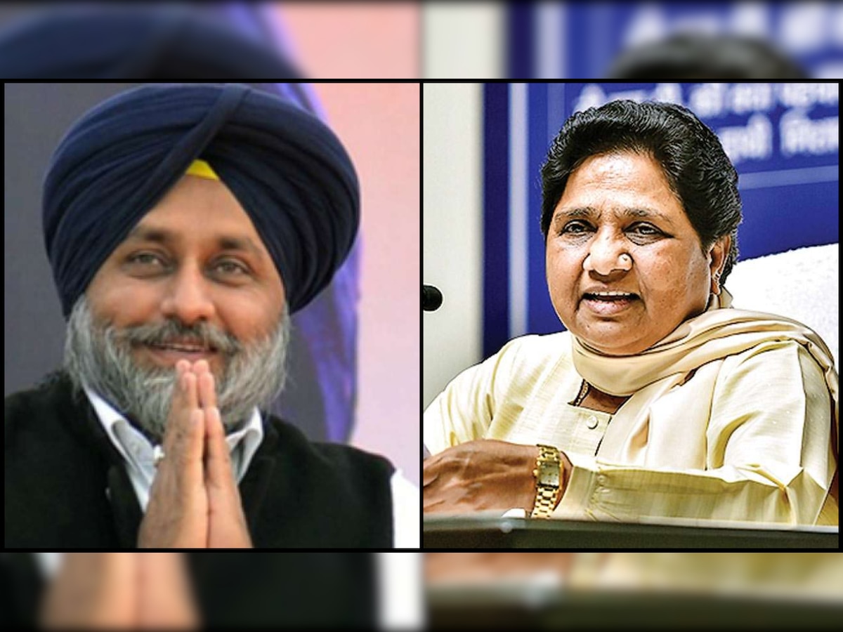 SAD, BSP form alliance for 2022 Punjab Assembly polls, announce 97-20 seat-sharing plan