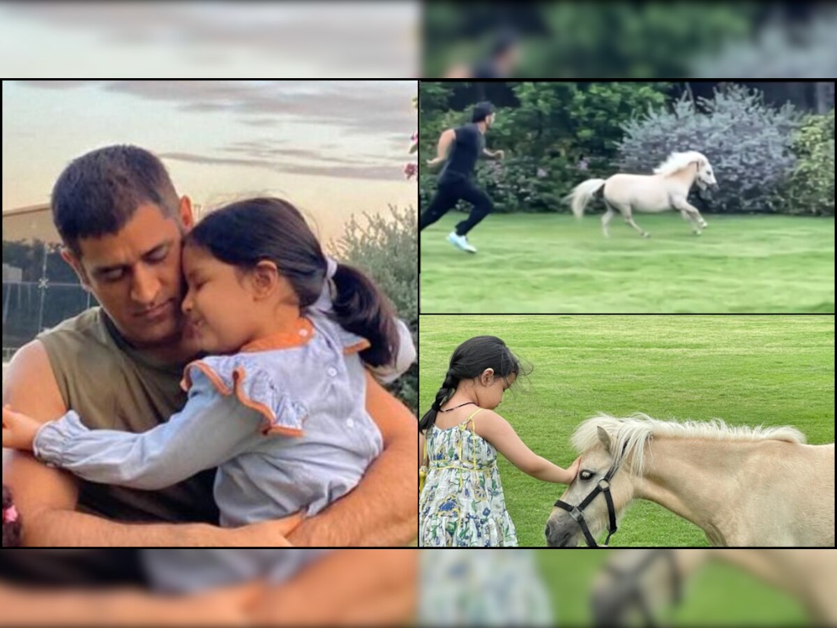 WATCH: MS Dhoni's race with Ziva's pony goes VIRAL, CSK teammate Suresh Raina reacts