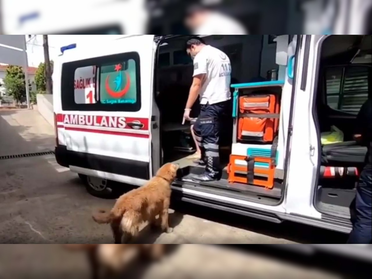 Viral video: Dog chases ambulance with sick owner all the way to hospital, leaves netizens emotional