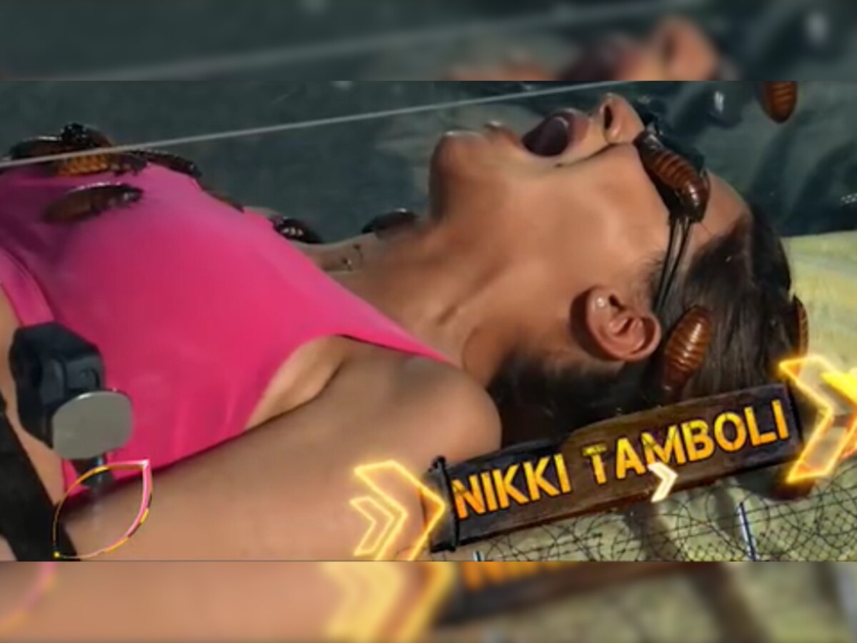 'Khatron Ke Khiladi 11': Nikki Tamboli in tears as she faces her worst fears in new promo