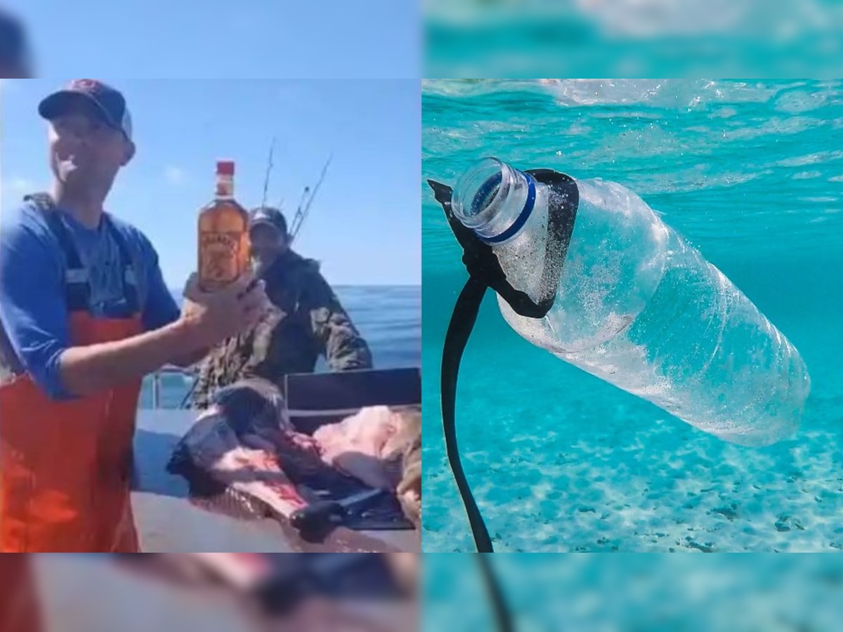 Whisky inside a fish: Fisherman’s viral ‘catch of the day’ sparks a social media storm