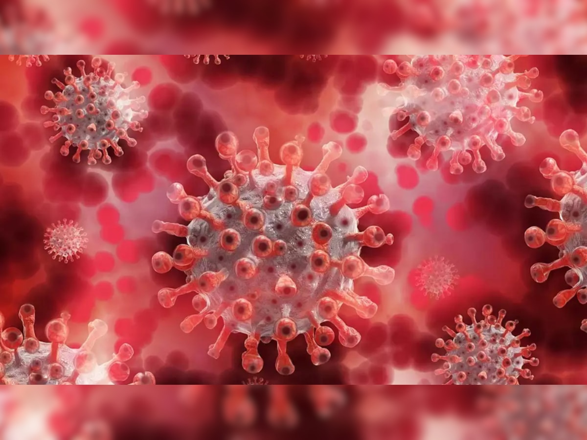 Coronavirus epidemic hit 20,000 years ago too - Here's how it had impacted the world