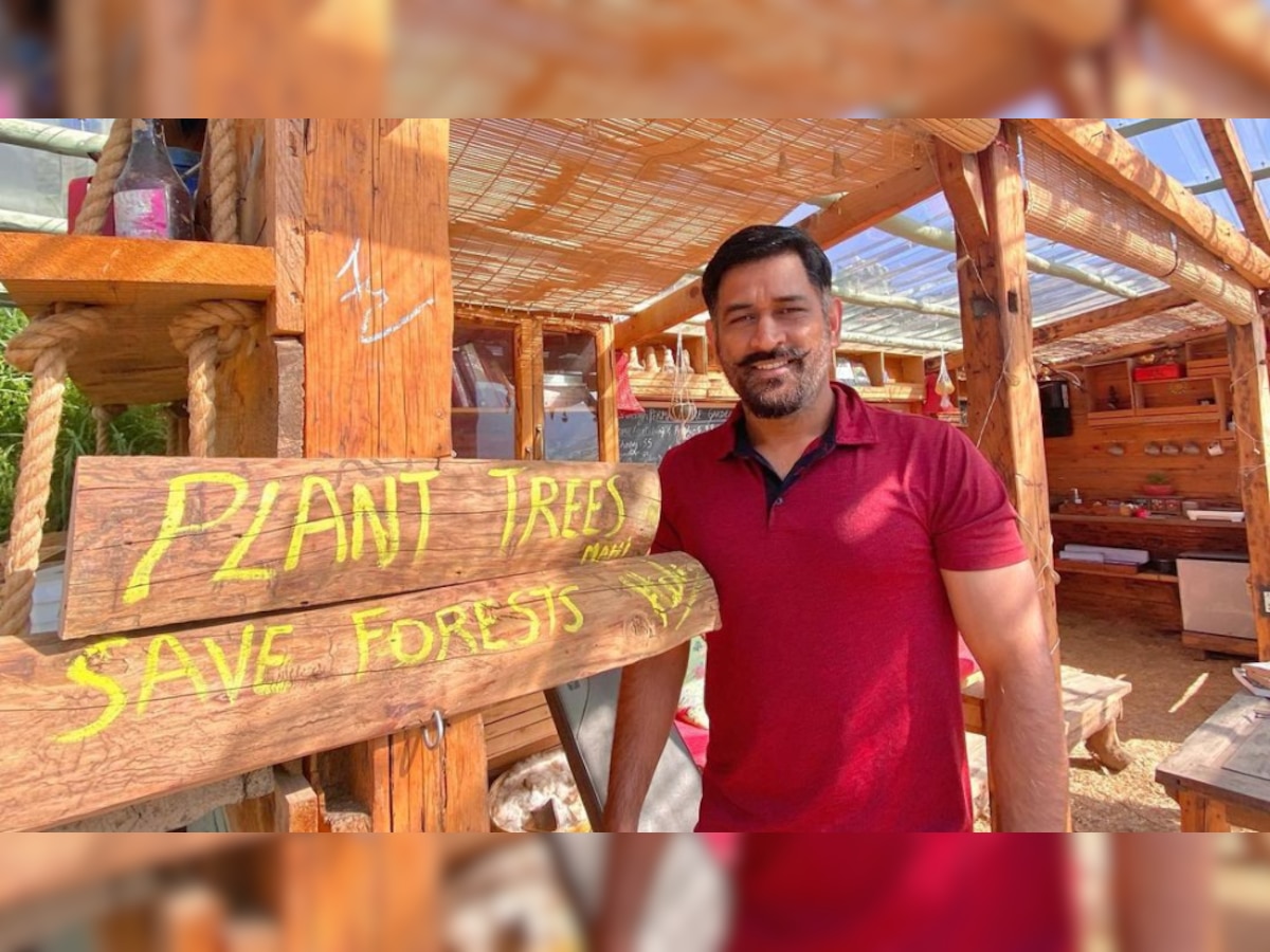 MS Dhoni's message to 'plant trees' leaves Twitter divided - Here's why