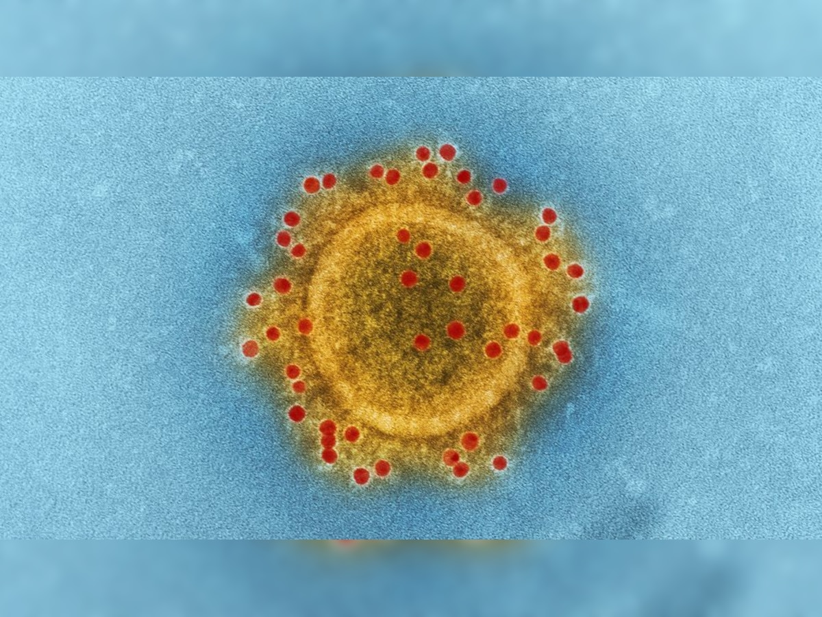 DNA Explainer: Difference between Delta and Delta Plus variants - Symptoms, treatment, who’s at risk