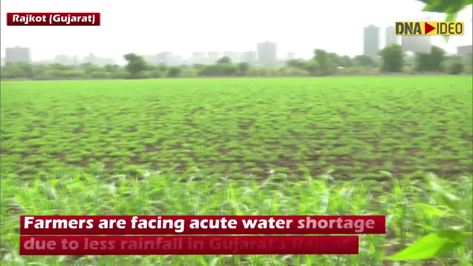 Water crisis hits Gujarat farmers amid kharif season - DNA India