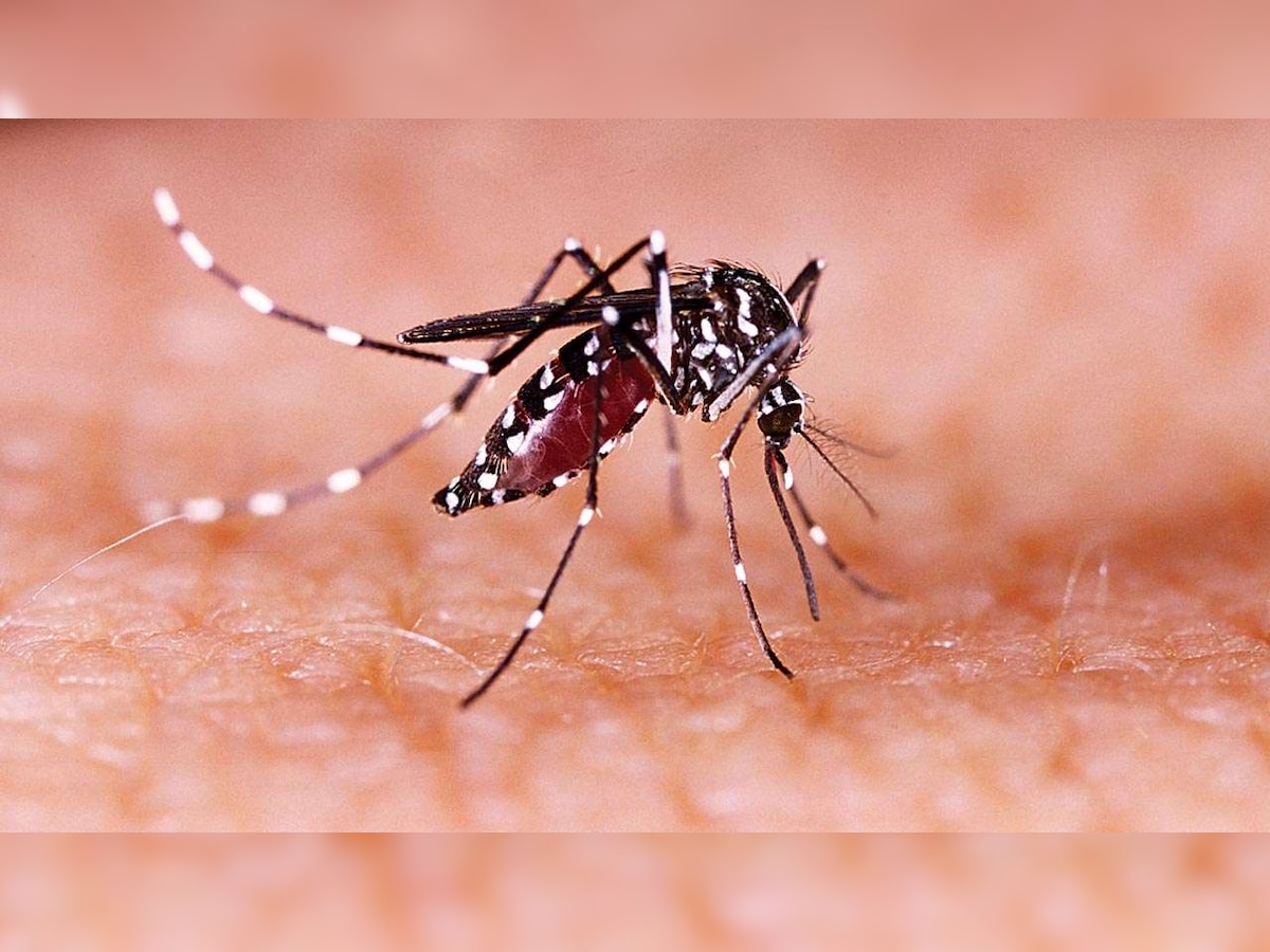 Amid COVID-19, Kerala reports first case of Zika virus