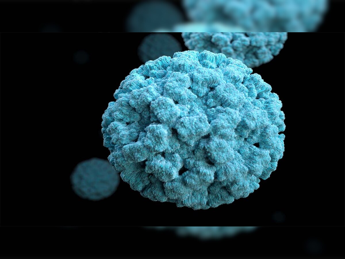 DNA Explainer: Know about highly infectious Norovirus and precautions to be taken