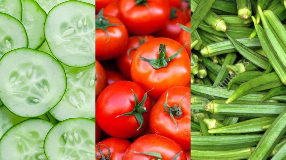 Cucumber, Ladyfinger, Tomato- Vegetables you can grow at home this rainy season