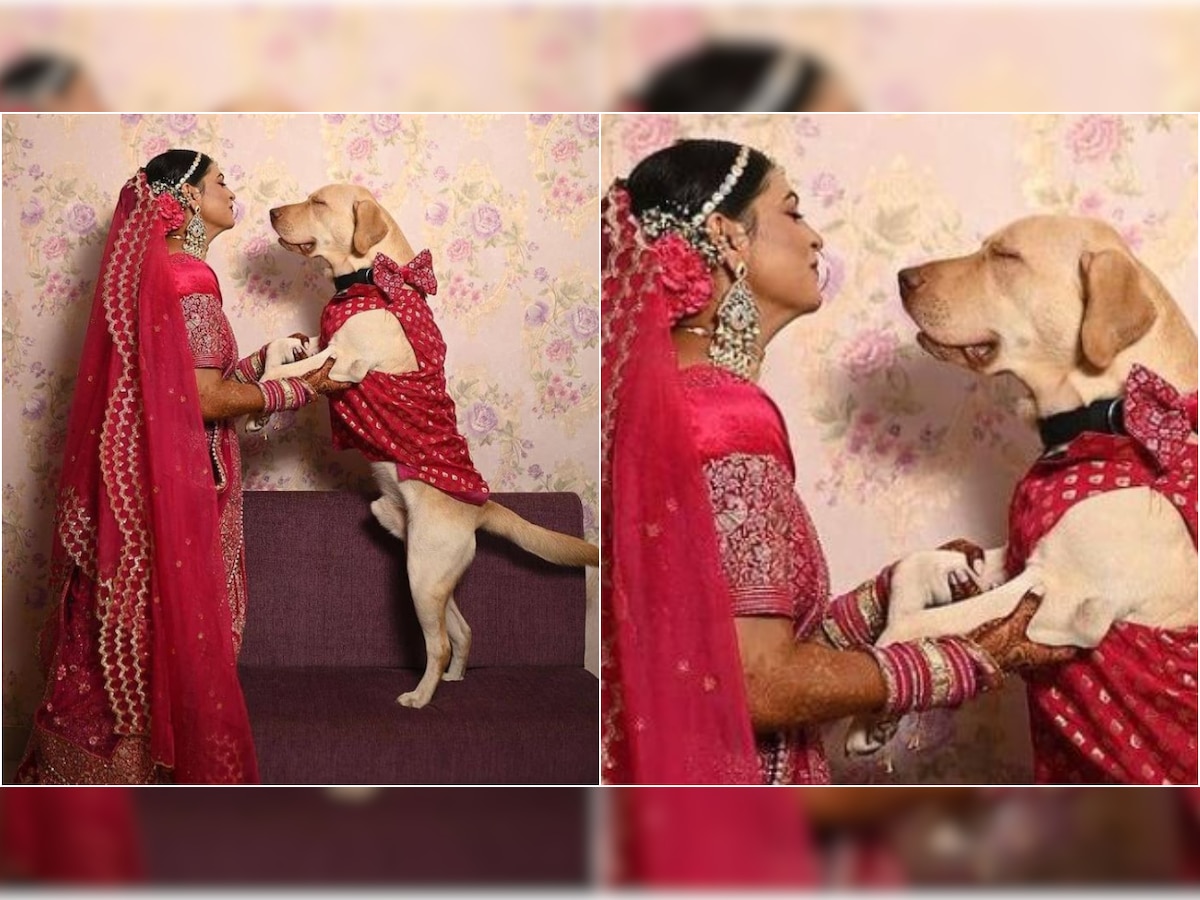 'Pawsome friends': This bride's pic with her pet dog is breaking the internet, SEE photo