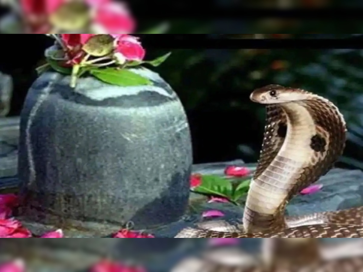 Nag Panchami 2021: WhatsApp wishes, quotes, messages to send to your loved ones on this auspicious day