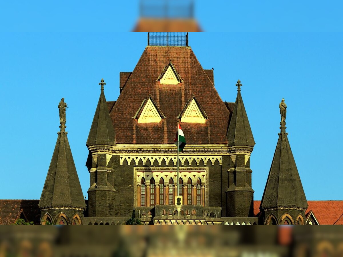 Those who own one flat cannot keep multiple personal vehicles: Bombay High Court