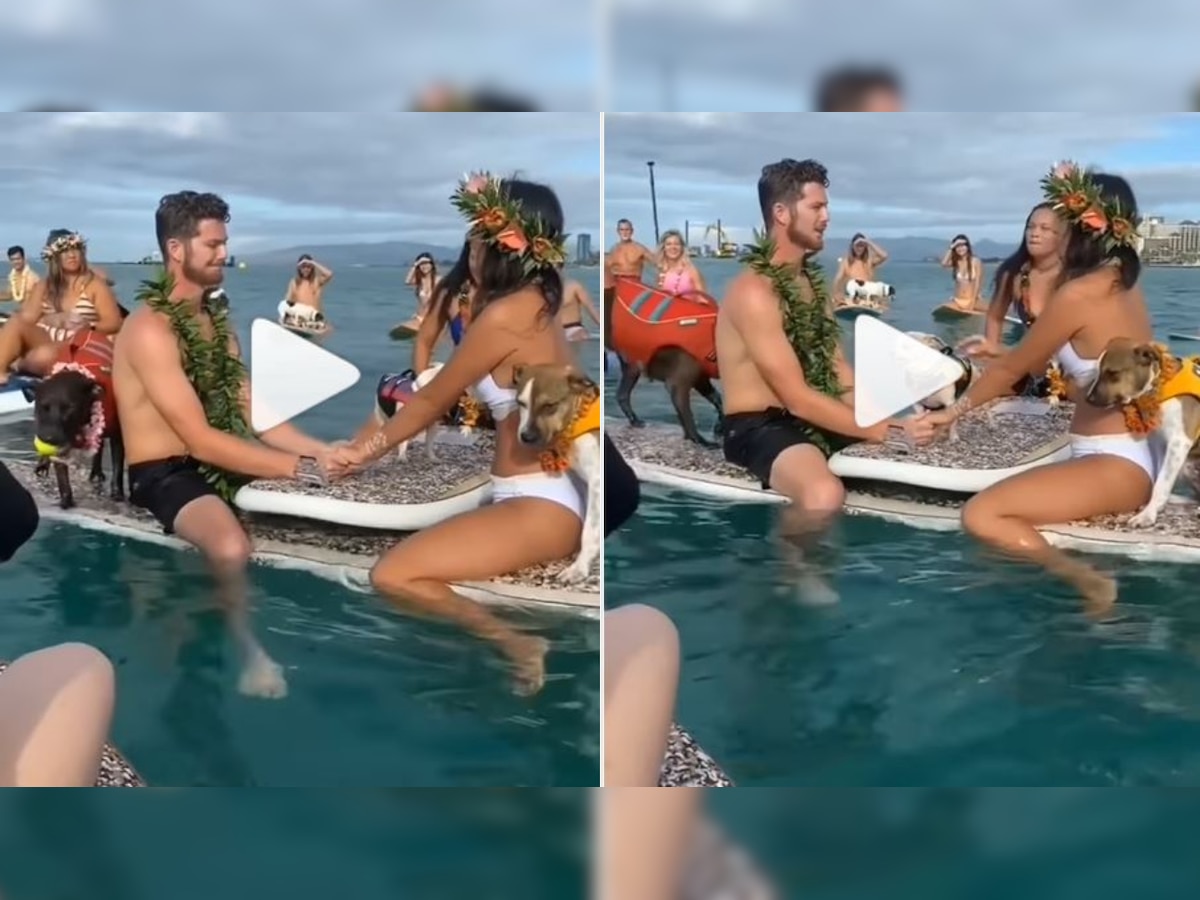 Bride and groom get married in style in the middle of the ocean, check out VIRAL video