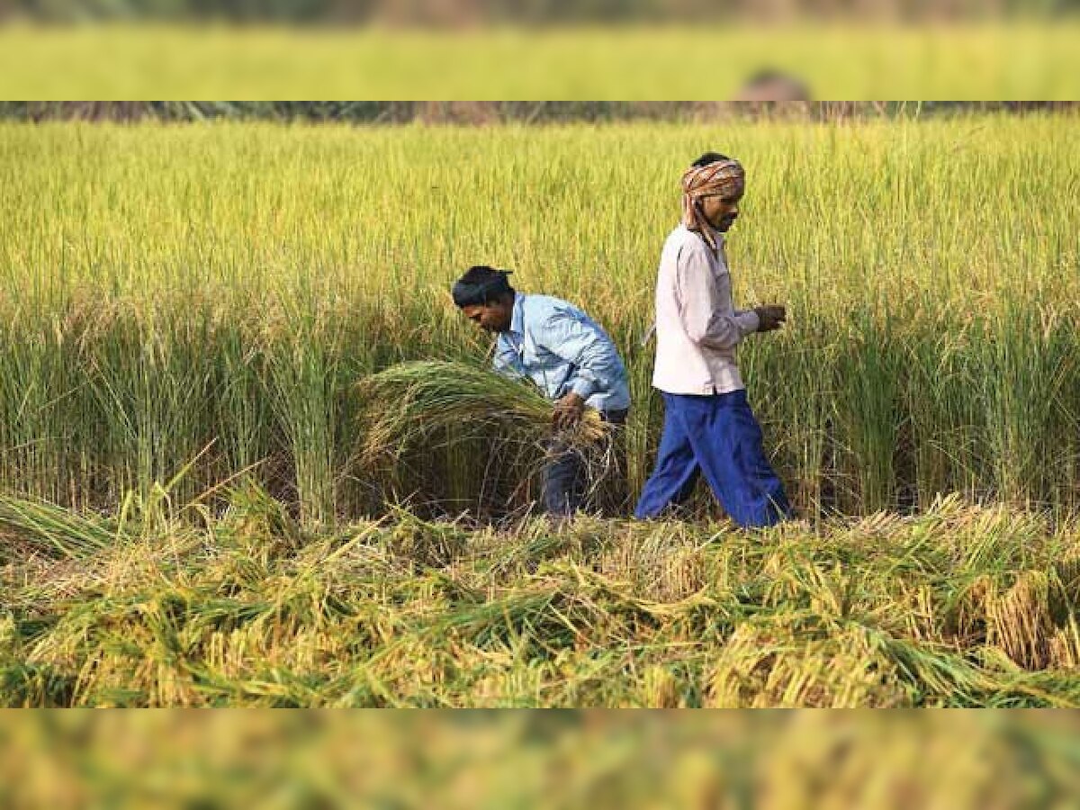 PM-Kisan: Ineligible farmers who wrongly took advantage of scheme get notices